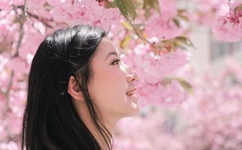 混乱与秩序之英雄战歌